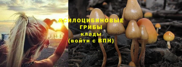 хмурый Верхний Тагил